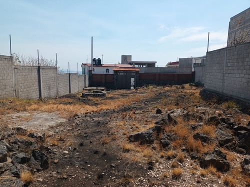 Se Vende Terreno Para Inversión Sobre Carretera Tlaya-yaute