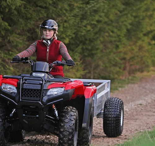 Honda Atv Trx420fm 2021