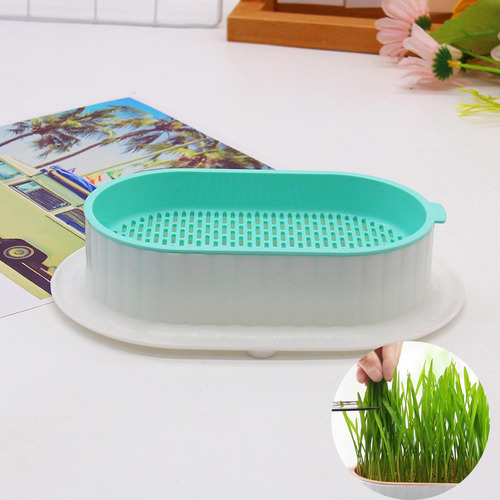 Bandeja De Germinação De Branco Verde Branco Verde