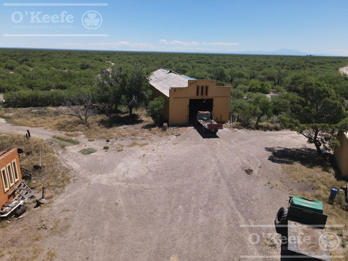 Campo De Cría/recría 74.000 Has. Para 8800 Madres, Armado En Mendoza