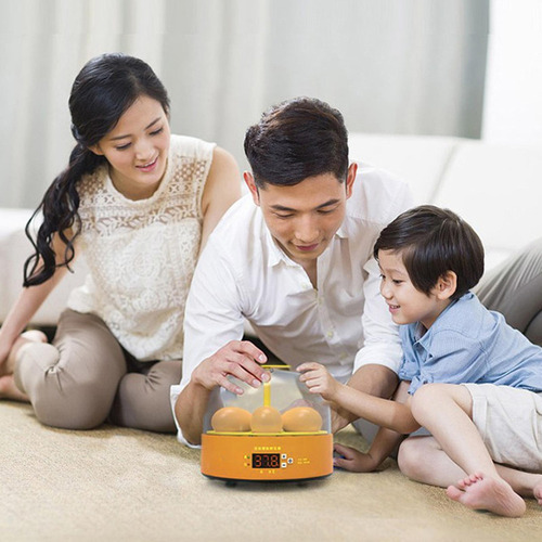 Mini Chocadeira De Ovos Com Giro Automático