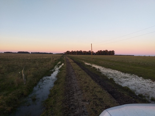 Campo En Venta En Punta Indio 38 Hectáreas