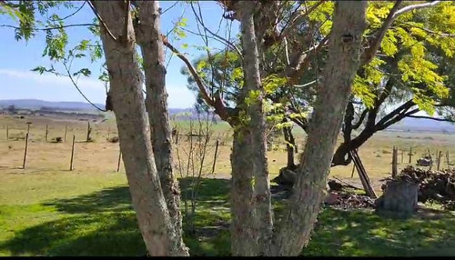 Campo De 397 Has - Maldonado, Aiguá