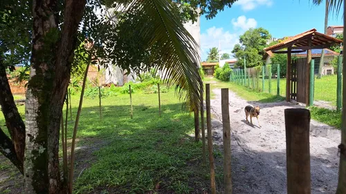 Terreno Morro De São Paulo Bahia