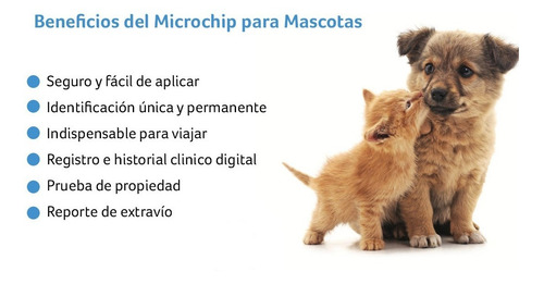 Imagen 6 de 10 de Microchip Para Mascotas - Animales / Certificado Y Pasaporte