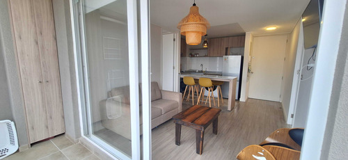 Arriendo Dpto. 2d,2b, Año Corrido, Amoblado (89889)