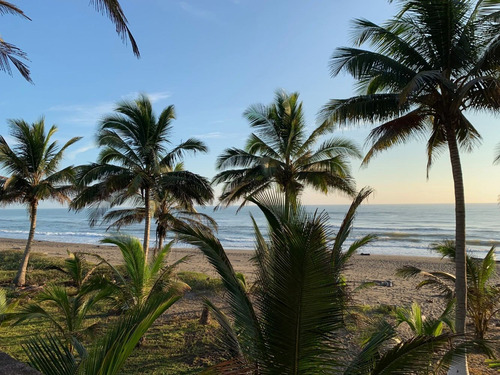Renta Casa En La Playa Costa Esmeralda Tecolutla Veracruz
