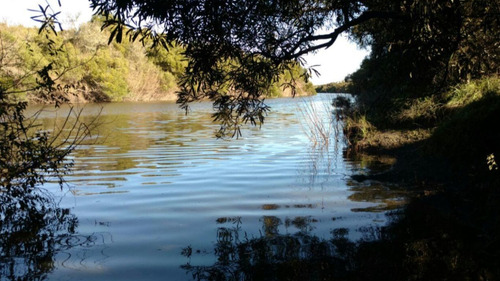 Imagen 6 de 12 de Terreno Campo En Venta Ubicado En Río Negro, Río Negro