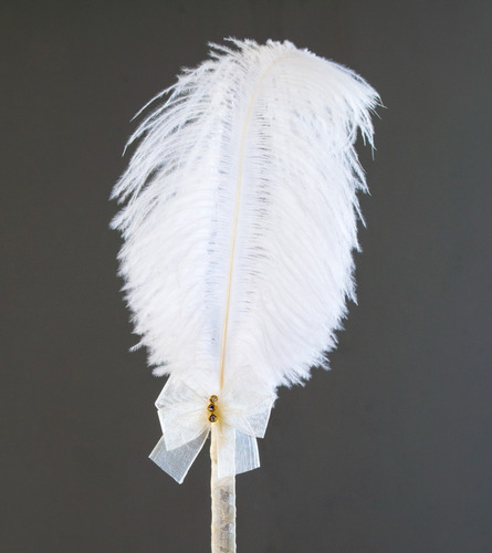 Imagen 5 de 5 de Pluma Firmas Boda Xv Años Decorada Recuerdo Carmen Hadas