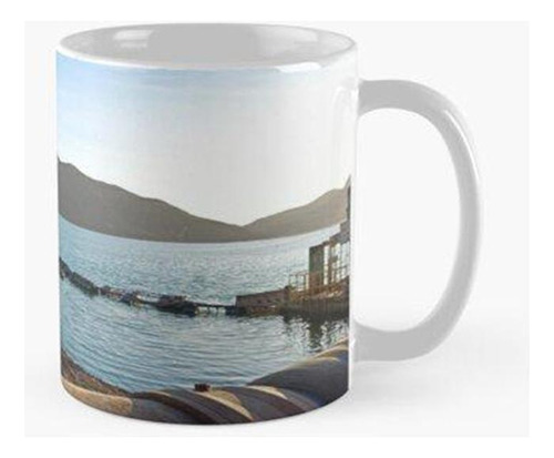 Taza Laguna Acido Sulfurico Calidad Premium