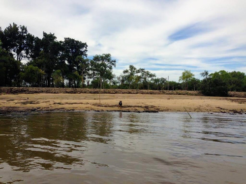 Lotes Venta 2da Seccion Delta Islas Sobre Paraná De L. Palma