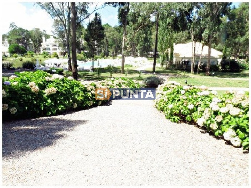Imagen 23 de 30 de Apartamento En Alquiler Anual