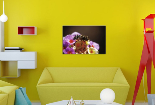 Vinilo Decorativo 40x60cm Abejas Insectos Miel Colores M4