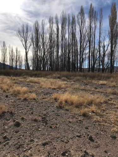 Venta Lote San Alberto, Uspallata, Mendoza