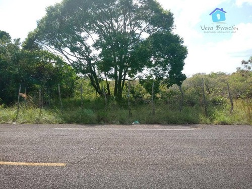 Imagem 1 de 13 de Terreno Frente Alfalto Pb008 Imperdível - Te0621