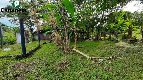 Imagem 17 de 25 de Ótimo Terreno Com 1.150,00 M² No Jardim Candairó - Cananéia - Litoral Sul De Sp - Te00087 - 70424942