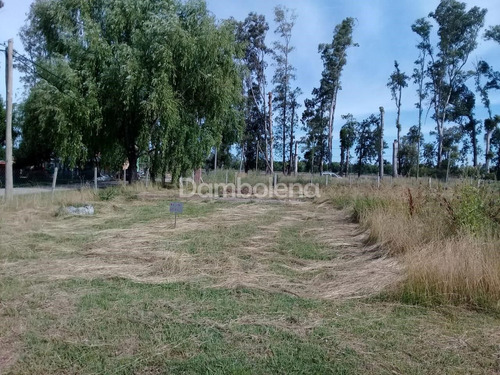 Imagen 7 de 12 de Terreno En Venta O Permuta Ubicado En General Rodríguez, General Rodríguez