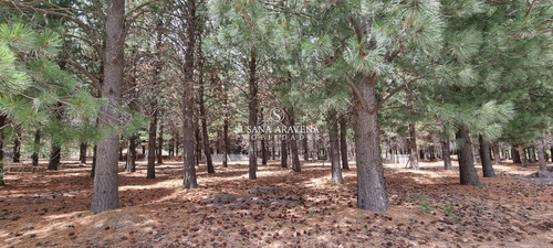 Lote En Venta En El Pegual
