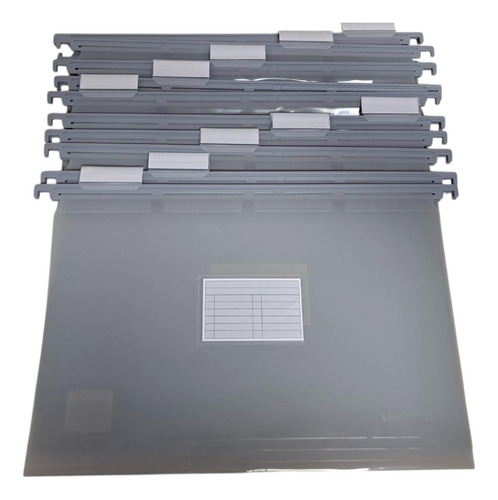 Carpetas Colgante Oficio Pvc Plastica Lama X 10 Unidades Gris