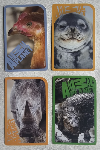 Cartas Didacticas Infantiles X 2 - Luminias Y Animal Planet