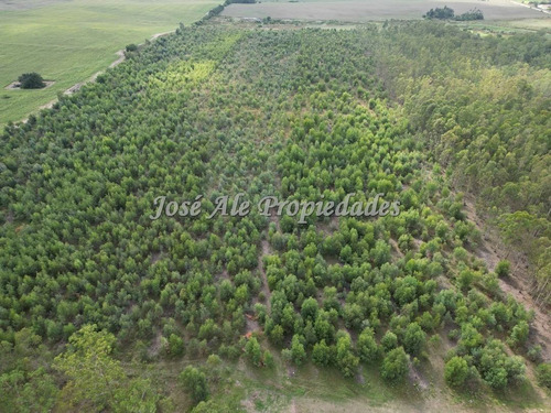 En Venta Campo De 8 Ha Y 8 Hectáreas Y 7883 Metros En Radia