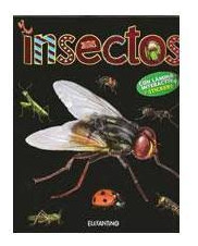 Insectos   Coleccion Conocer Y Armar
