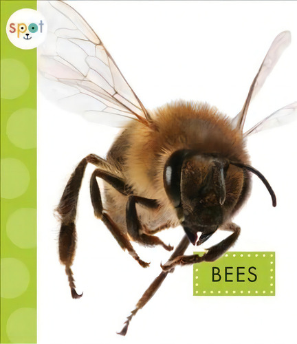 Bees, De Nessa Black. Editorial Amicus Ink, Tapa Blanda En Inglés