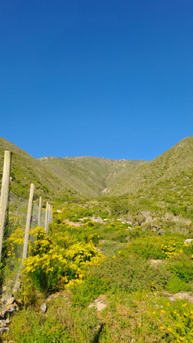 Parcela De 5006 Mt2 En Arrayán Costero, La Serena