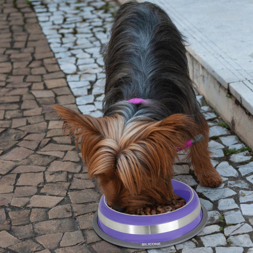 Comedouro Inox E Silicone P/cães E Gatos Pequeno Germanhart Cor Roxo