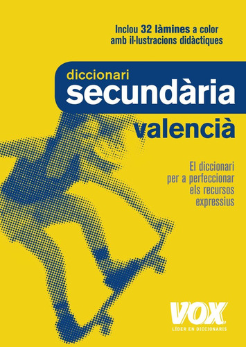Diccionari Secundària Valencià (libro Original)