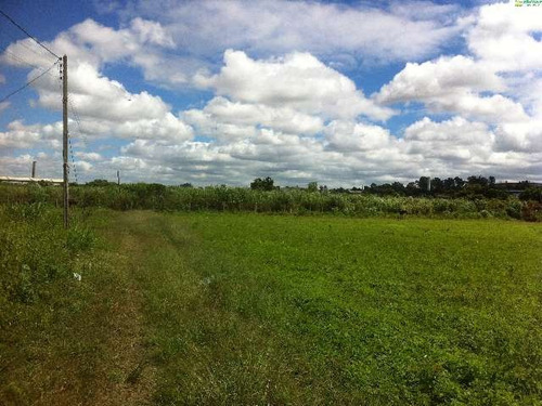Imagem 1 de 3 de Venda Área Industrial Jardim Alamo Guarulhos R$ 2.910.000,00 - 29993v