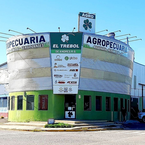 Semilla Cesped Rye Grass Anual Estanzuela 284 X 10 Kgs