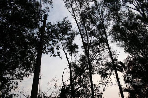 Imagem 23 de 30 de Terreno À Venda, 1000 M² Por R$ 500.000,00 - Granja Viana - Carapicuíba/sp - Te0500