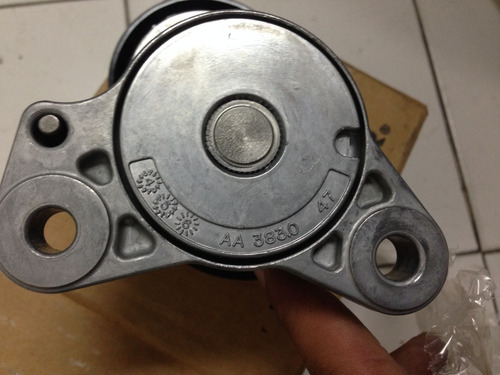 Tensor Correa Unica Caliber, Patrio Compas