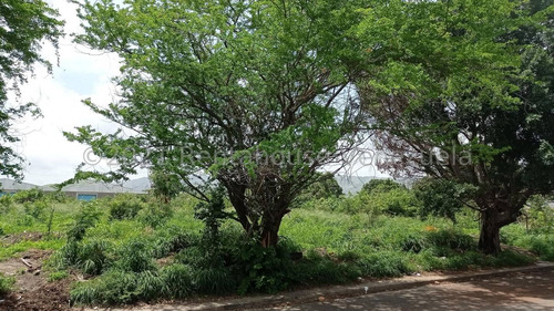 Imagen 9 de 12 de Terreno En Venta Corinsa Cagua 21-25380 Dperez