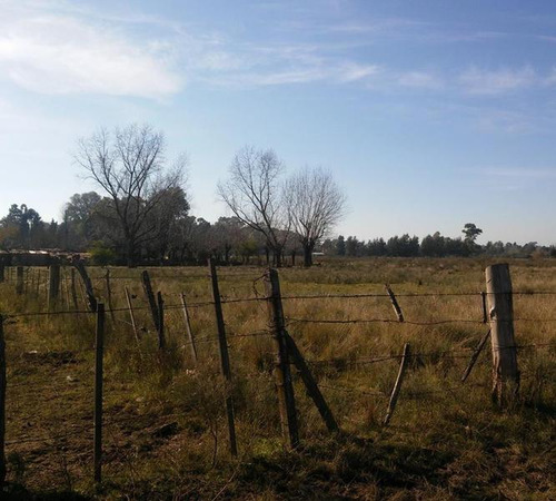 Casa Quinta 4 Amb. Sobre 2 Lotes De 5000m2 Cada Uno