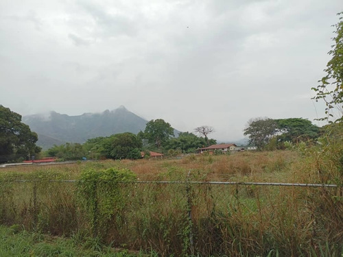 Venta De Terreno Comercial Residencial San Diego Agua De Canto Angel Tovar