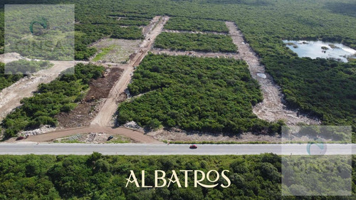 Imagen 12 de 20 de Residencial Albatros || Excelente Privada Residencial De Lotes De Terreno En Venta, Ubicada Al Norte De Merida, Cercana A Chicxulub Puerto