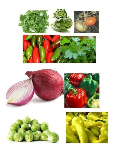 32 Sobres De Semillas ! La Huerta Completa! Combo Hortalizas