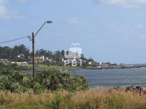 Imagen 4 de 7 de Terreno En Venta Punta Ballena - Ref : Pbi975
