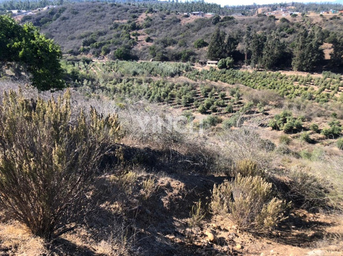 Parcela En Venta A Solo 7 Kilómetro De La Rotonda De Concón