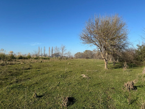 Campo En Venta En Pilar. Zona Champagnat