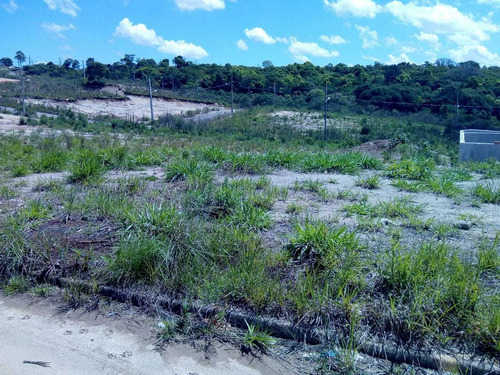 Imagem 5 de 7 de Lote Urbano De 250-m^2