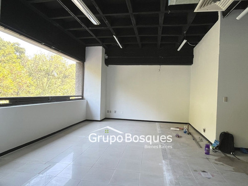Oficinas En Renta En Constituyentes, San Miguel Chapultepec