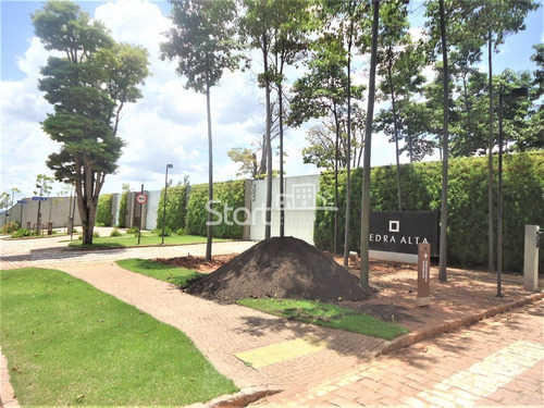 Imagem 1 de 26 de Terreno À Venda Em Vila Brandina - Te008336