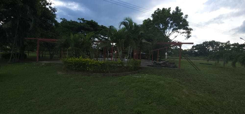Imagen 5 de 14 de Granja Avicola-porcina A 10 Min. Del Centro De Barinas