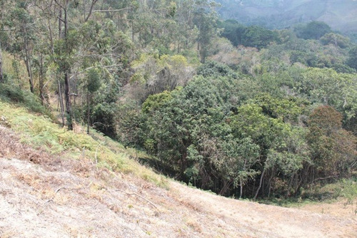 Vendo Terreno En Carrizal