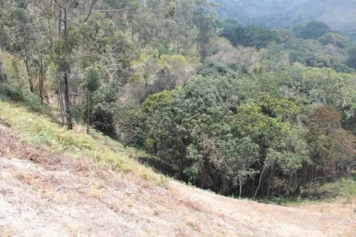 Vendo Terreno En Carrizal
