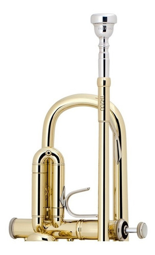 Trompeta Bach Tr200 En Si B Con Estuche Hecha En Eeuu