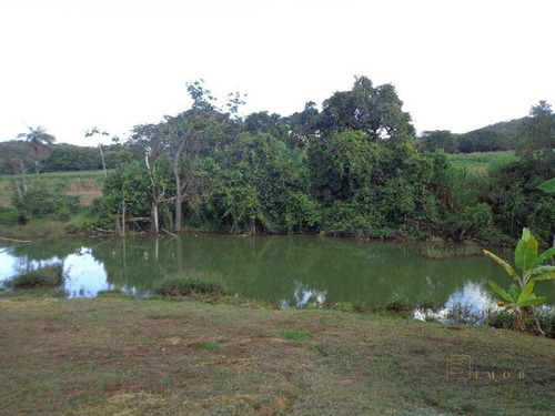 Imagem 20 de 30 de Chacara Com 2 Alqueire - Casa Com Laje, Barragem Chacaras Brito, Luziania - Meuimo562 - 71128673